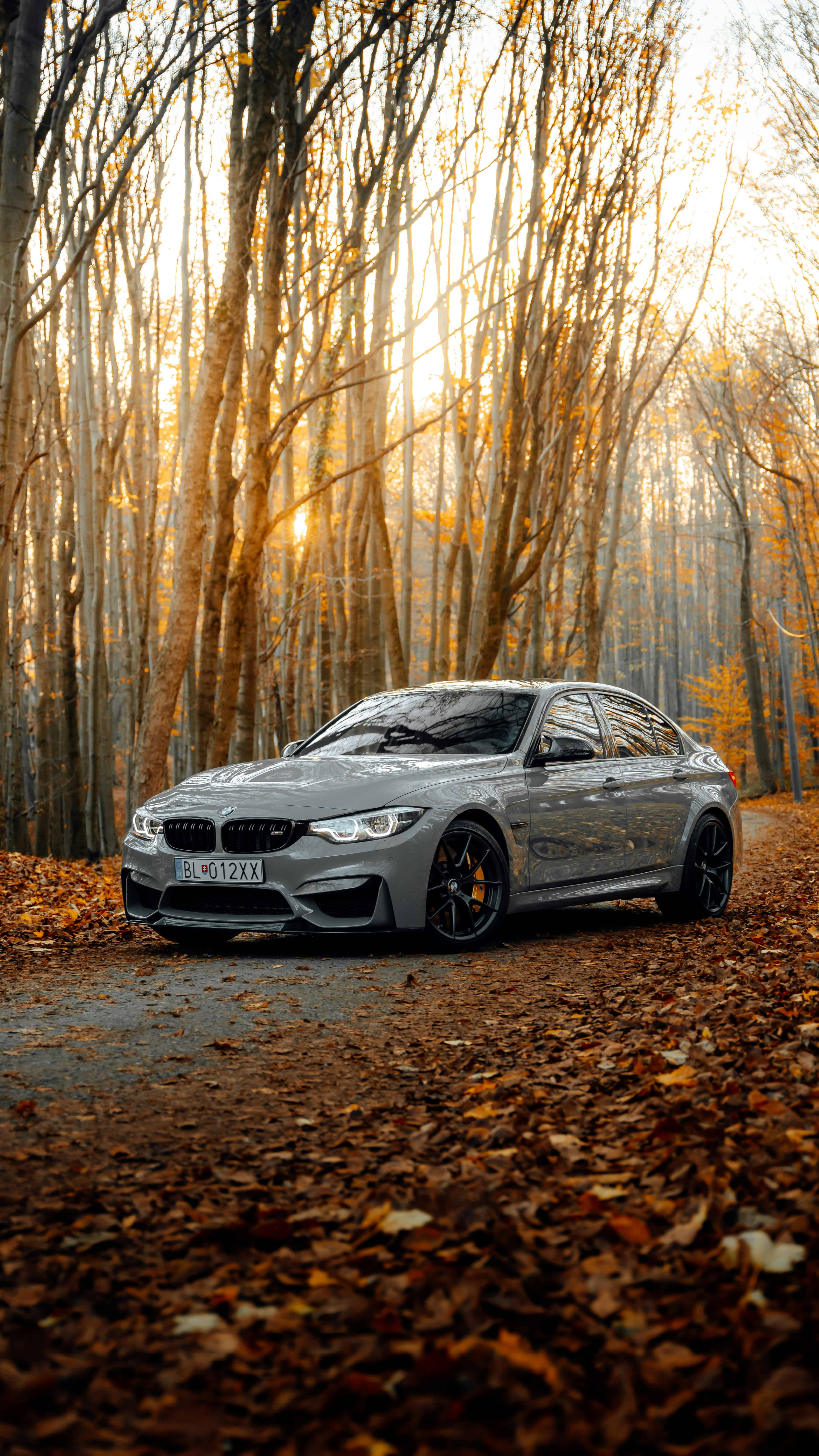 BMW M3 – Iconic sports sedan